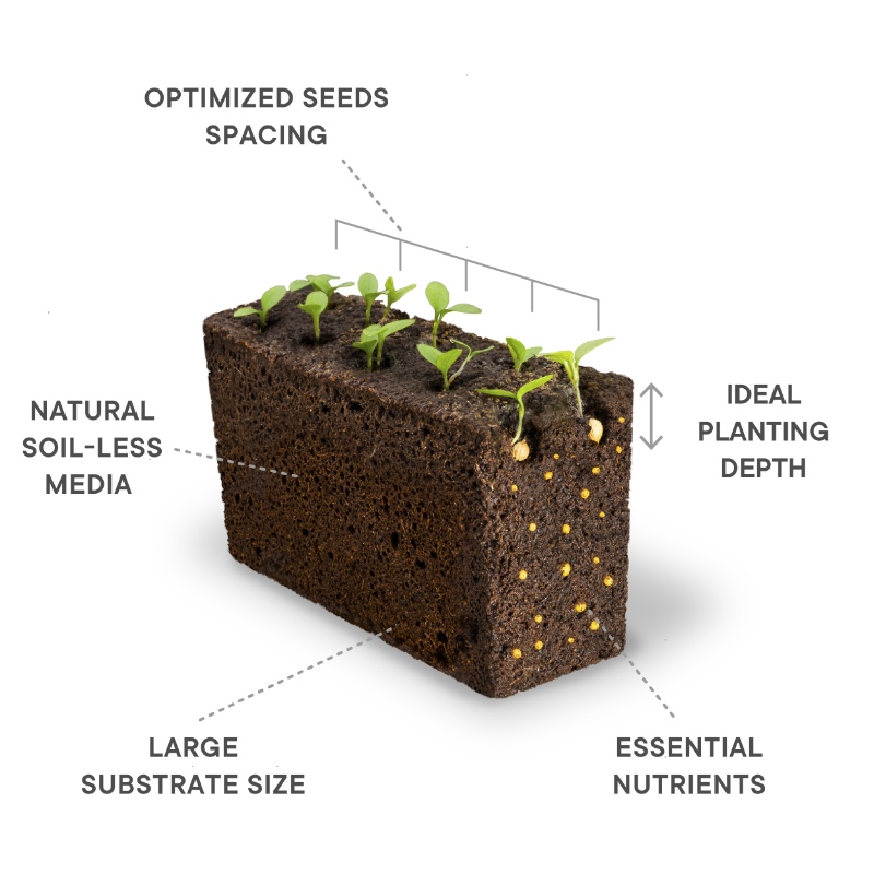 The Lingot is a ready to use plant refill